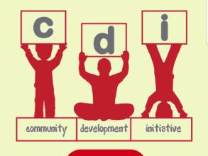 Launch page of CDI app
